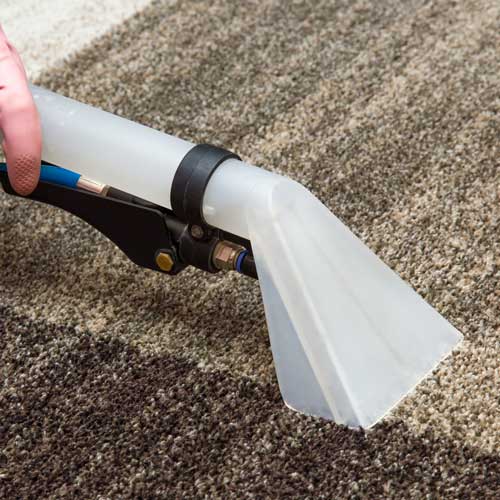 Carpet Cleaning | Warnike Carpet & Tile