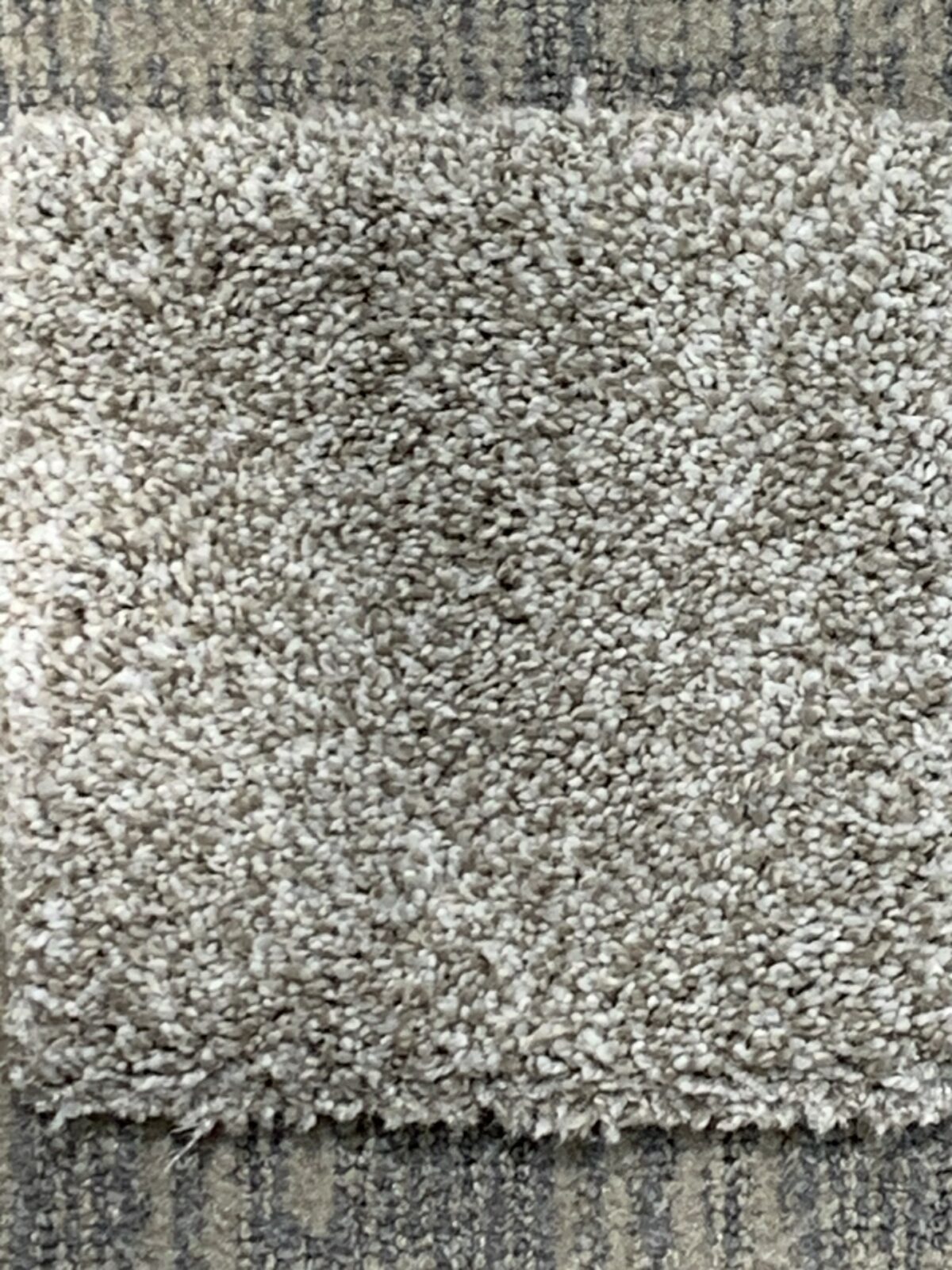 mellowcarpet