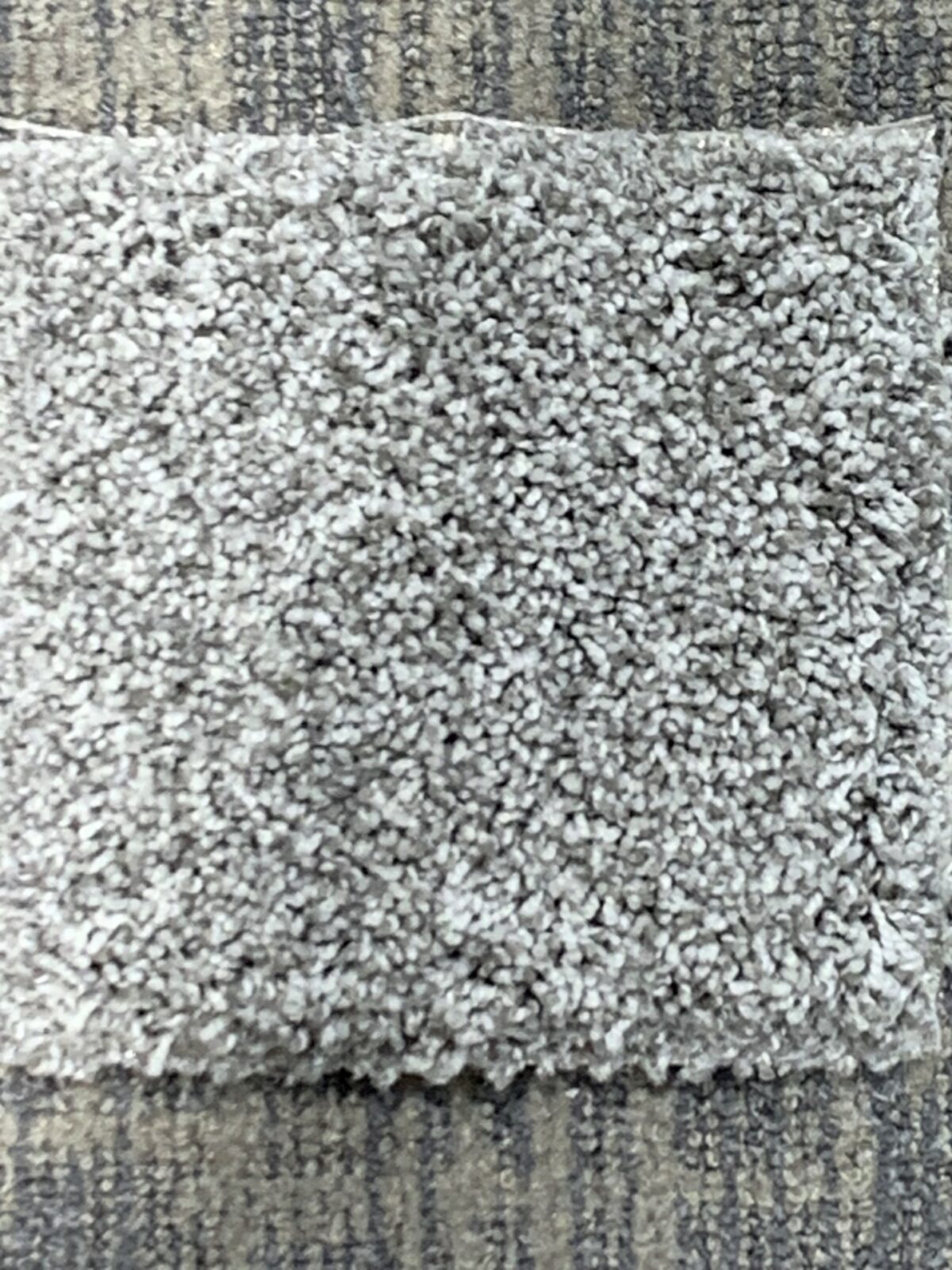 ts050platinumcarpet